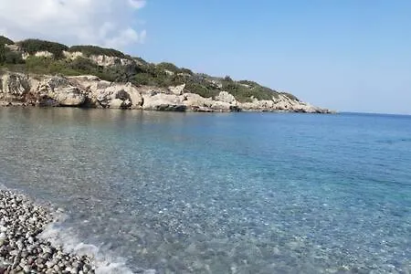 Joya Cyprus Sahara Garden *