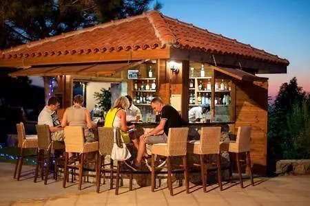 Joya Cyprus Sahara Garden *