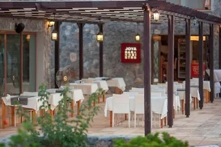 Joya Cyprus Sahara Garden